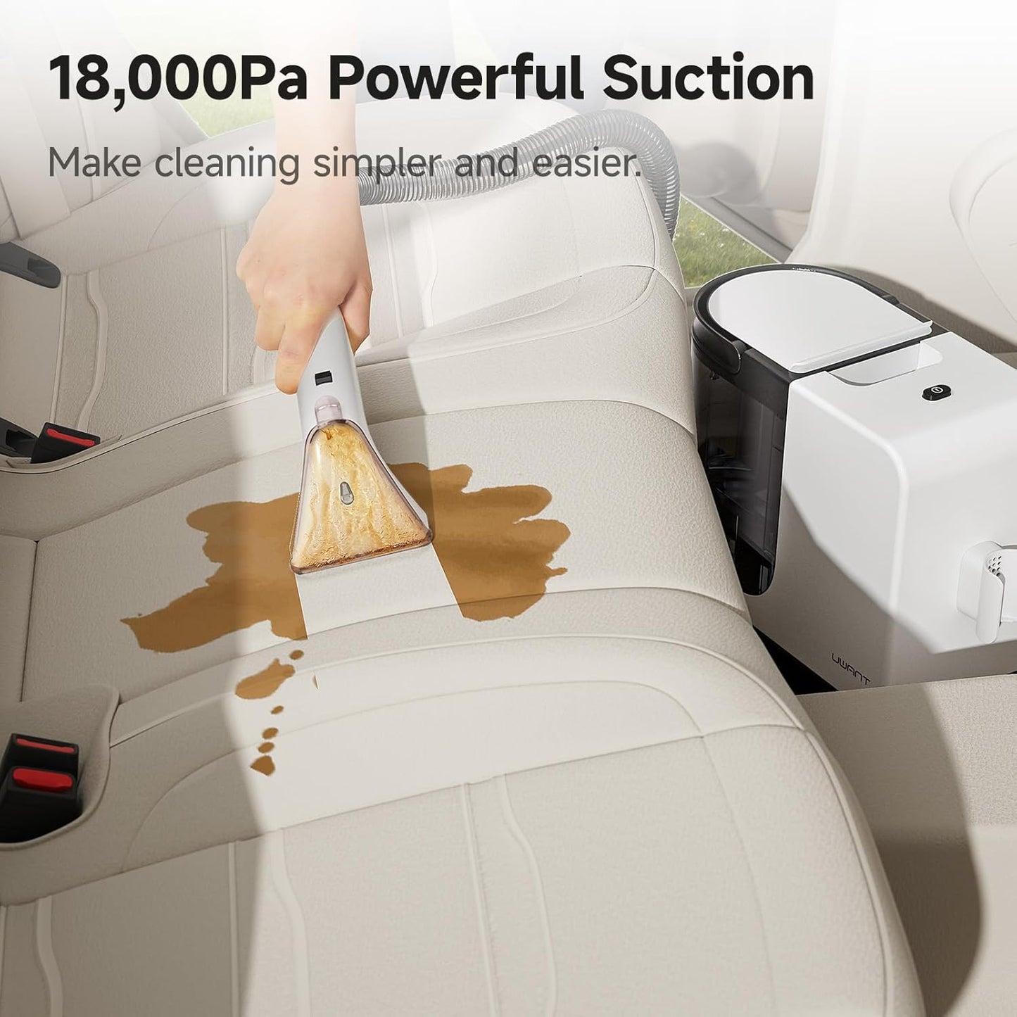 Portable Carpet Cleaner