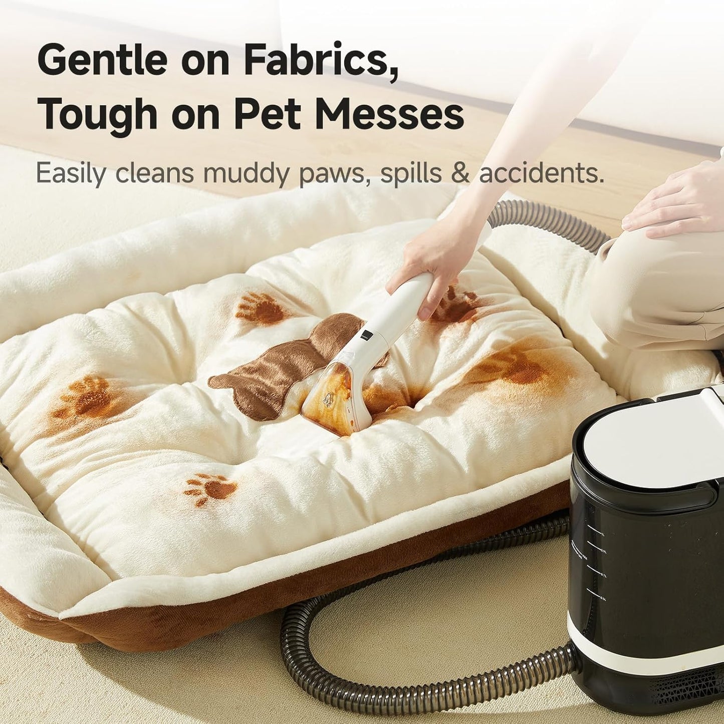 Portable Carpet Cleaner