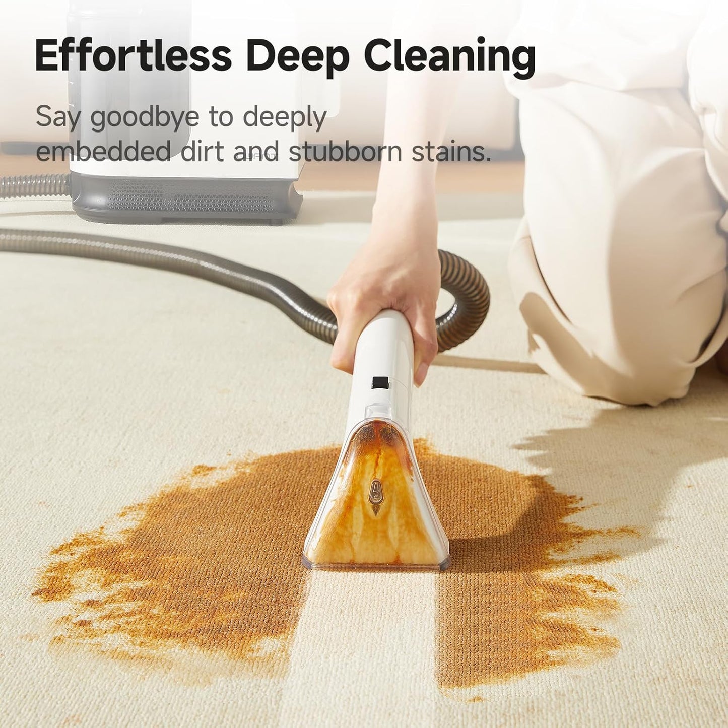 Portable Carpet Cleaner