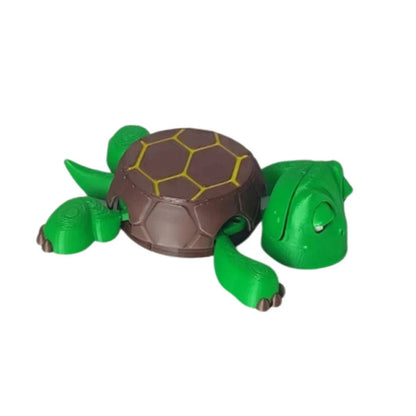 Funny Turtle coaster