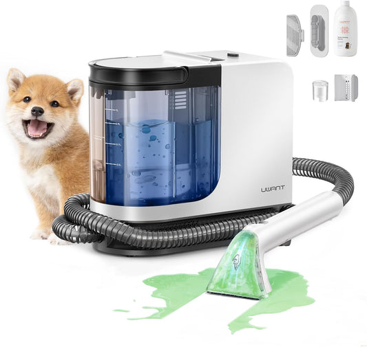Portable Carpet Cleaner