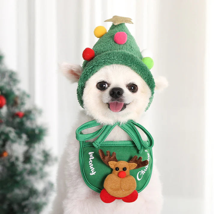 Holiday Pet Outfit (Hat + Scarf)