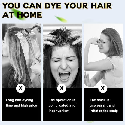 3 in 1 Hair Dye Shampoo