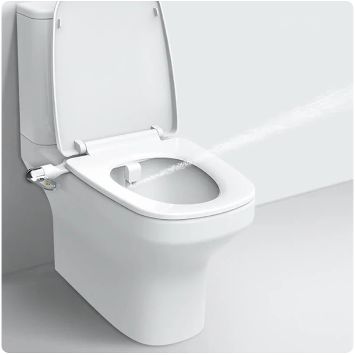 Smart Toilet Flusher