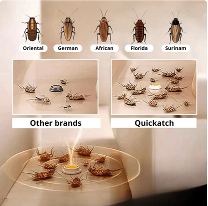 QUICKCATCH™ | Cockroach trap